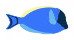 Blue Fish