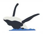 Breached Whale