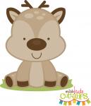 Baby Deer
