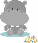 Baby Hippo