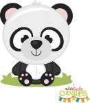 Baby Panda