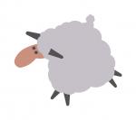 Fluffy Sheep