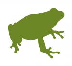 Green Toad
