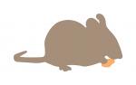 Mouse with Cheese