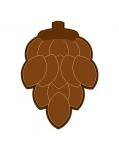 Pinecone