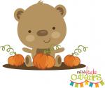 Bear in Pumpkin Patch