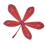 Falling Autumn Leaves