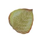 Falling Autumn Aspen