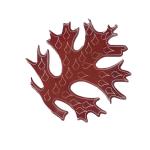 Falling Autumn Red Oak