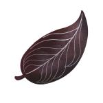 Falling Autumn Slippery Elm