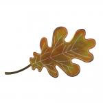 Falling Autumn Sugar Maple