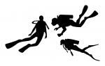 Scuba Divers