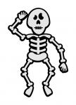 Skeleton Parts