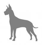 Great Dane