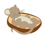 Sleeping Mouse