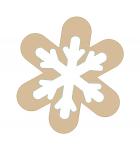 Snowflake Cookie