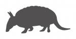 Armadillo