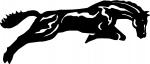 Jumping Horse