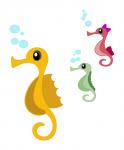 Seahorse Family