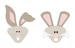 Bunny Faces