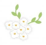 White Spring Wildflowers