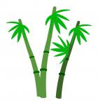 Bamboo