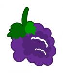 Purple Grapes