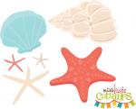 Seashell Set