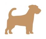 Jack Russell Terrier