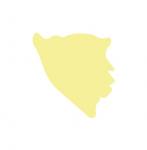 Bosnia