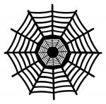 Caught in a Web Collection: Giant Spider Web