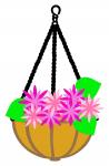 Hanging Basket