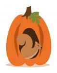 Pumpkin House with Squirrel