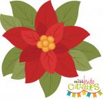 Poinsettia