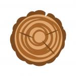 Wood Slice