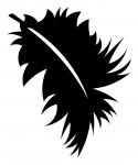 Feather