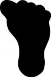 Footprint