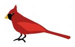 Cardinal