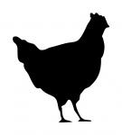 Hen