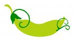 Garden Pea