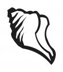Seashell