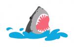 Shark Bite