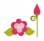 Funky Flower Collection: Pink Bloom