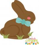 Chocolate Bunny
