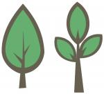 Woodland Friends Collection: