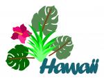 Hawaii Title