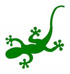 Gecko