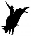Bull Rider