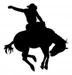 Saddle Bronco