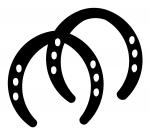 Horseshoes